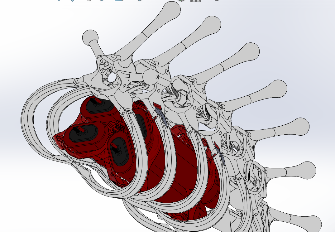 SolidWorks ribcage CAD